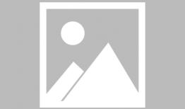 动漫美女胖次,探寻二次元世界的魅力与风情