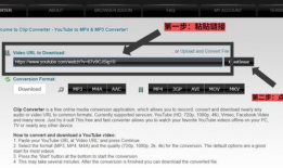 youtube下载视频,轻松掌握视频保存技巧