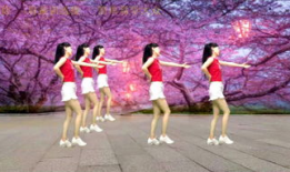 操一操视频,揭秘健身运动的魅力与技巧